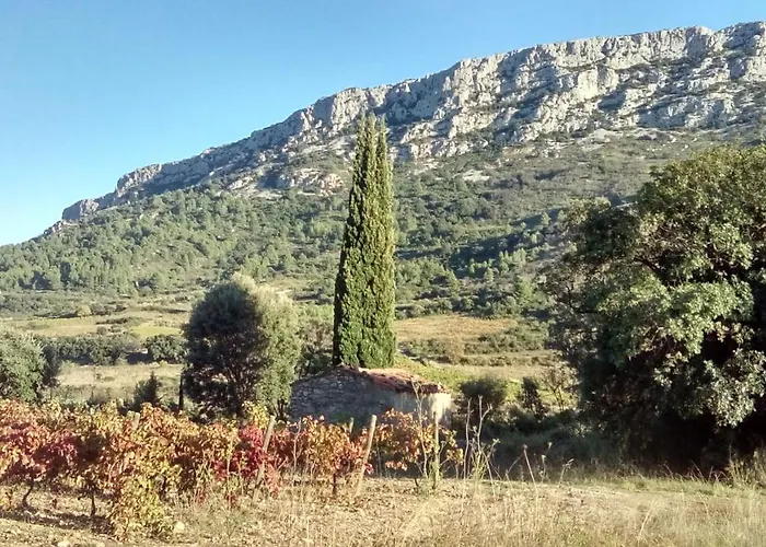 Nyaraló Domaine Vents Du Sud Vingrau