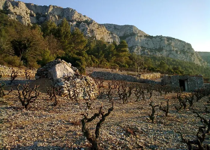 Domaine Vents Du Sud Nyaraló *